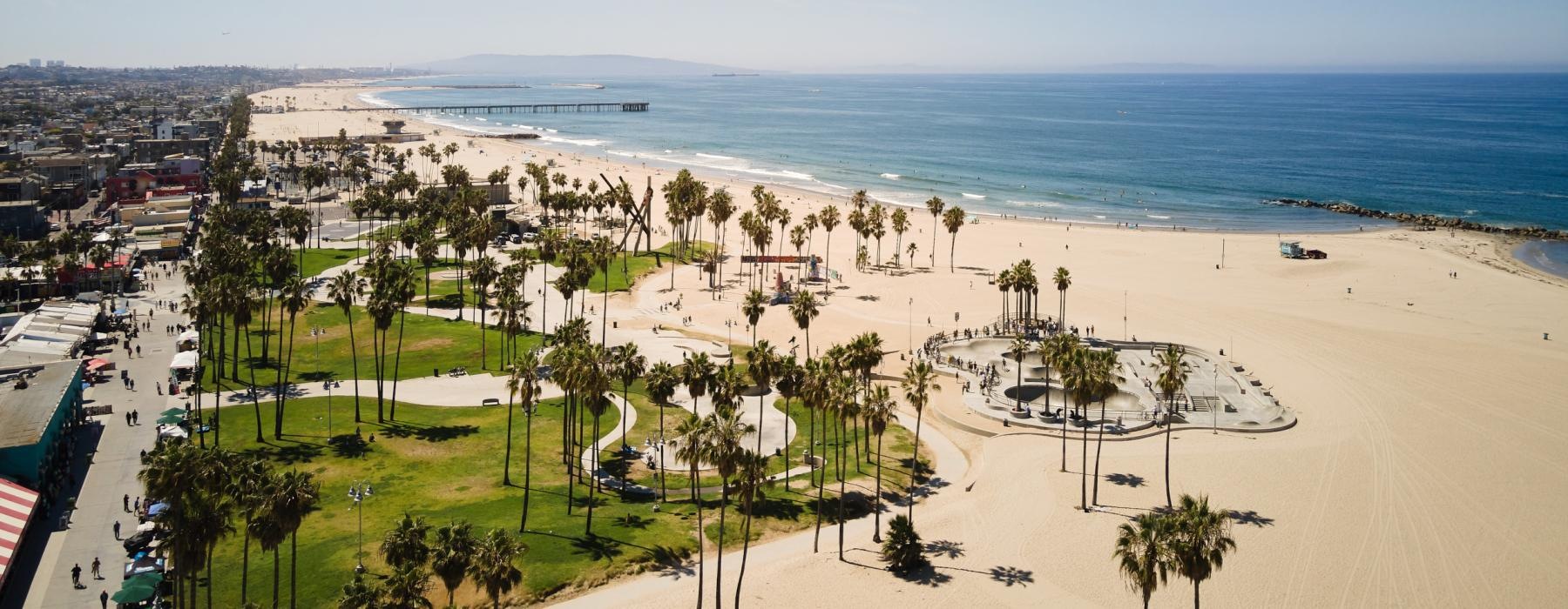 vast beach with palm trees