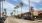 a street with palm trees and shops