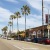 a street with palm trees and shops