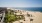 vast beach with palm trees