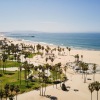 vast beach with palm trees